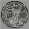 Image 2 : 1996 AMERICAN SILVER EAGLE NGC MS 69