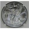 Image 2 : 2002 AMERICAN SILVER EAGLE NGC MS 69