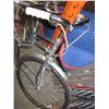 Image 3 : RED RODEO ROAD BIKE AND BLUE RUDGE ROAD BIKE