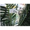 Image 2 : ARTIFICIAL OFFICE PLANT