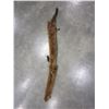 Image 1 : 2 MINK PELTS