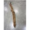 Image 2 : 2 MINK PELTS