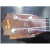 Image 2 : THE TRIUMP UKULELE