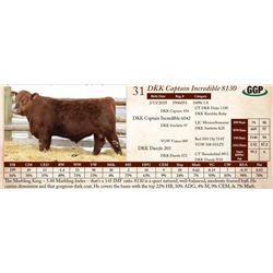 DKK Captain Incredible 8130