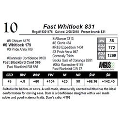 Fast Whitlock 831