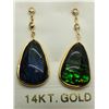 Image 1 : 47) 14K YELLOW GOLD AMMOLITE & DIAMOND EARRINGS