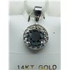 Image 1 : 49) 14K WHITE GOLD BLACK & WHITE DIAMOND PENDANT