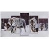 Image 1 : NEW 5PC FRAMED WOLF SHOWHOME