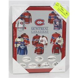 MONTREAL CANADIENS JERSEYS AND ARENAS
