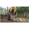 Image 1 : New Brunswick 2-for-1 Whitetail Deer Hunt