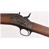 Image 8 : Remington Rolling Block
