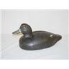 Image 1 : CARVED & PAINTED DUCK DECOY