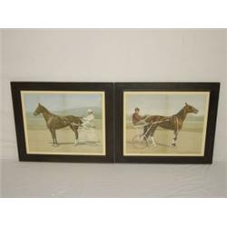 PR. HORSE PRINTS - SULKY'S BY ALEXANDER POPE