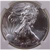 Image 2 : 2014(W) AMERICAN SILVER EAGLE