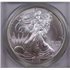 Image 2 : 2008 AMERICAN SILVER EAGLE