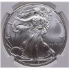 Image 2 : 2015 AMERICAN SILVER EAGLE