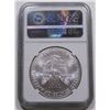Image 4 : 2017 AMERICAN SILVER EAGLE