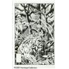 Image 1 : Tom Yeates - The Saga of the Swamp Thing #14 Cover Re Tom Yeates - The Saga of the Swamp Thing #14 C