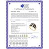 Image 2 : 1 CTW Brown Color Diamond Fashion Ring 10KT Yellow Gold - REF-41Y9X