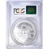 Image 4 : 1996 AMERICAN SILVER EAGLE, PCGS MS-69
