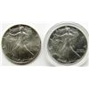Image 1 : 1990 & 1991 AMERICAN SILVER EAGLES