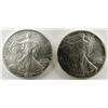 Image 1 : 1995 & 2003 AMERICAN SILVER EAGLES