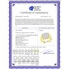 Image 2 : 1.02 CTW Mens Princess Diamond Square Cluster Ring 10KT Yellow Gold - REF-101M9H