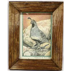 Original 2011 Quail Pastel Picture by R.A. Kerr