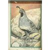 Image 2 : Original 2011 Quail Pastel Picture by R.A. Kerr