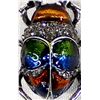 Image 2 : Rhinestone Bling Beetle Pin