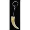 Image 2 : Mammal Tooth Keychain