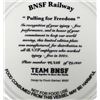 Image 2 : Train Collector Plate
