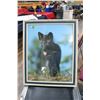 Image 1 : Collection of Animal Pictures