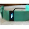 Image 4 : FITBIT - TEAL - WITH COR - WORKING