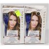 Image 1 : TWO BOXES OF CLAIROL ROOT TOUCH UP