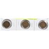 LOT OF 3 USA INDIAN HEAD 1 CENT COINS