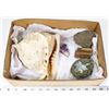 Image 1 : BOX W/LARGE CONCH SHELL, CATS EYE STONE,