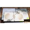 Image 1 : GROUP OF 4 SHELL CANVAS PICTURES 8"X8".