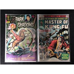 COMIC BOOK LOT (DARK SHADOWS/ MASTER OF KUNG-FU)