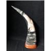 Image 1 : NATIVE ART POWDER HORN