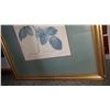 Image 2 : 6 FRAMED FLOWERS