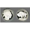 Image 1 : America's Legendary coins-1913 Buffalo Nickel type one