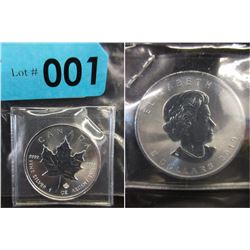 2019 Newly Minted Silver Canadian Maple Leaf Coin