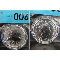 2019 Newly Minted Royal Mint Year of the Pig Coin