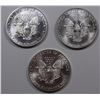 Image 2 : THREE GEM BU SILVER EAGLES