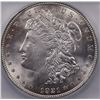 Image 2 : 1921  MORGAN DOLLAR