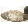 Image 3 : EASTERN SHORE DECOY