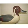 Image 3 : EASTERN SHORE DECOY