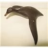 Image 1 : EASTERN SHORE VIRGINIA DECOY