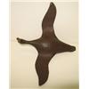 Image 2 : EASTERN SHORE VIRGINIA DECOY